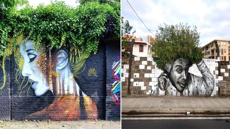 “Boring House Walls Transformed into Astonishingly Beautiful Living Art”