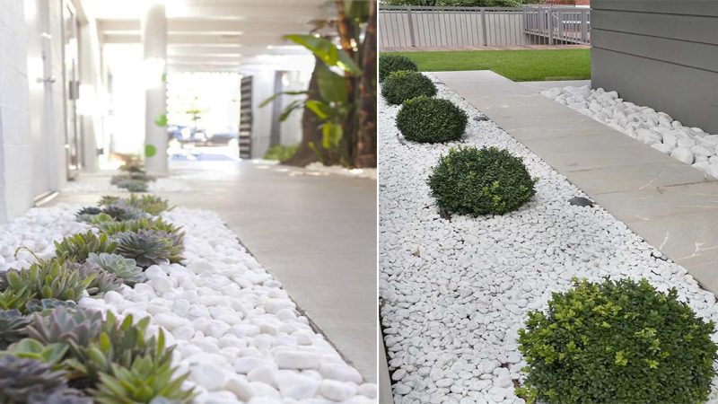 Creative and Contemporary Design Ideas: Incorporating White Rocks in Yard Landscaping