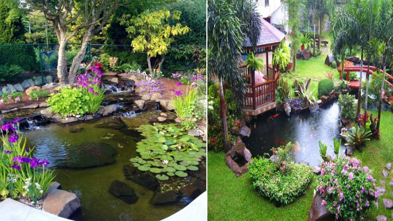 Enhance Your Garden with a Captivating Water Feature: Create a Tranquil Oasis with a Pond or Water Garden