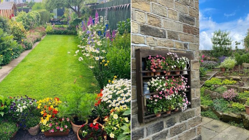 Cheap Garden Ideas: 7 Ways to Update Your Space for Less