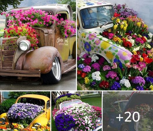 Spectacular DIY car flower bed ideas