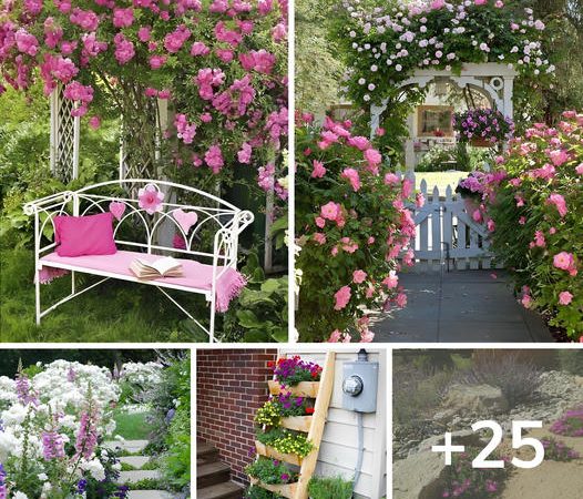 25 Picturesque Images of Flower Gardens to Inspire Your Spring