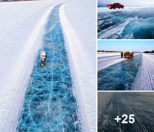 Embarking On An Enchanting Winter Journey: Exploring The Snowy Expanse Of Tuktoyaktuk’s Icy Roadway