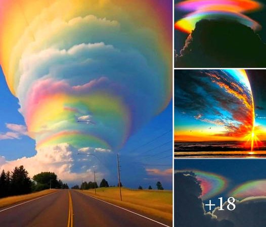 Inсredіble Sight: Capturing the Mesmerizing Beauty of ‘fіre Rainbows’.