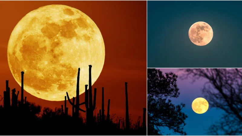 Capturing the Spectacular: The Beauty of Full Moon and Blood Moon Images