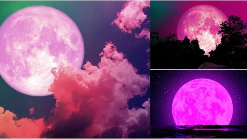 Super Pink Moon: A Celestial Spectacle to Remember