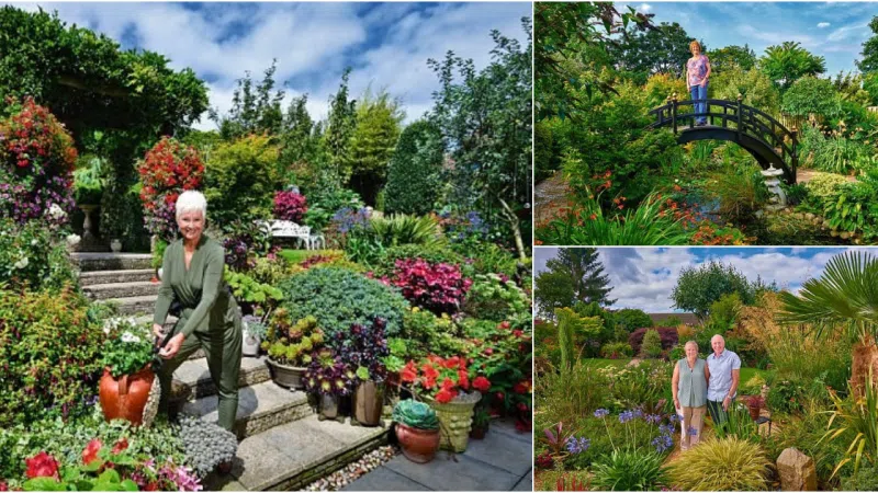 Celebrating Green-Fingered Excellence: Finalists Shine in Britain’s National Garden Competition