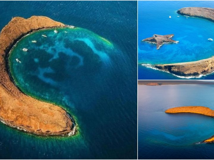 Discover the Enchanting Molokini Crater: A Hidden Volcanic Gem in Hawaii’s Pristine Waters