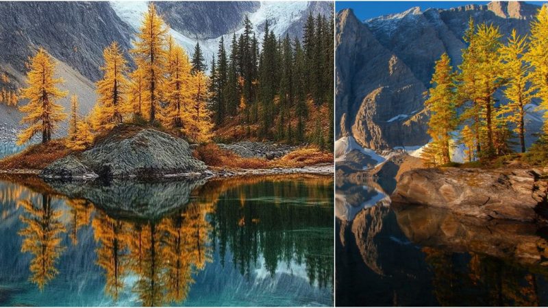 Exploring the Wilderness of Kootenay National Park, Canada 🌲